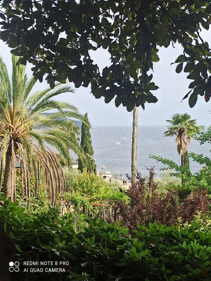 Apartment Cepic Herceg Novi Kültér fotó