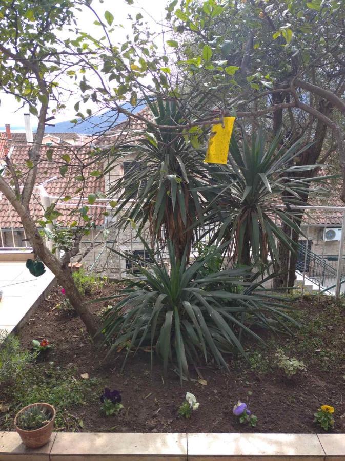 Apartment Cepic Herceg Novi Kültér fotó