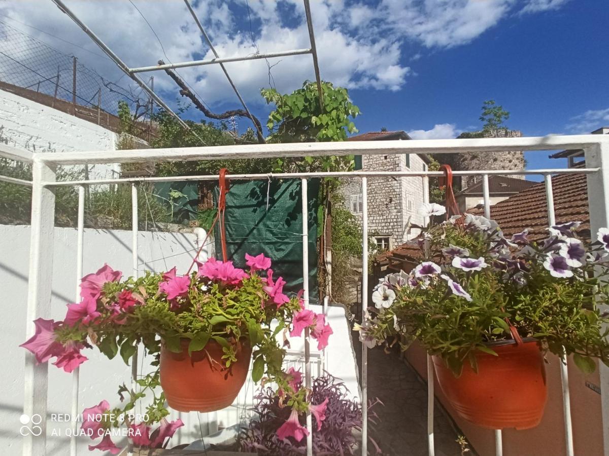 Apartment Cepic Herceg Novi Kültér fotó